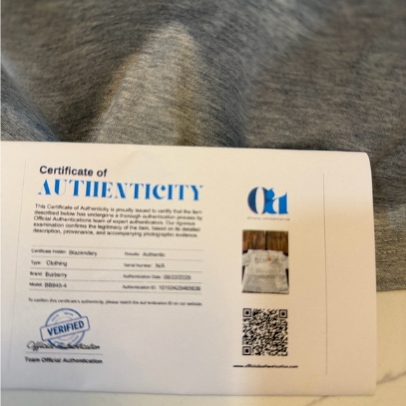 Burberry Light Gray Logo T-Shirt - Picture 3 of 4